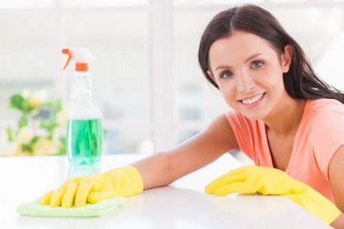 Finsbury Park Carpet Cleaners introducing professional carpet care