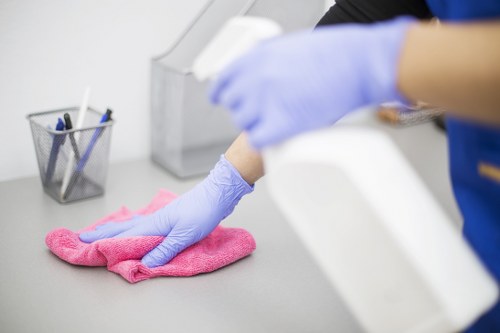 Professional pet stain odour removal service for carpets in Finsbury Park