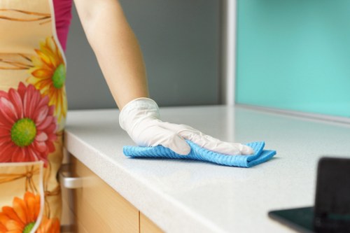 Cleaner dusting surfaces in a Finsbury Park home