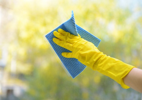 Local technician cleaning a fabric sofa with care