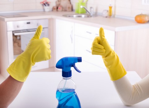 Local stain removal service for carpets and upholstery in Finsburypark