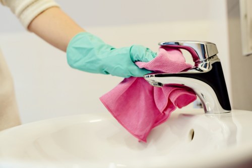 Professional gutter cleaning service for Finsbury Park homes and buildings