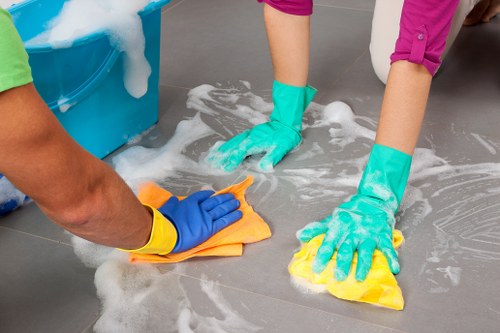 Deep cleaning treatment for pet urine odour in a Finsbury Park home