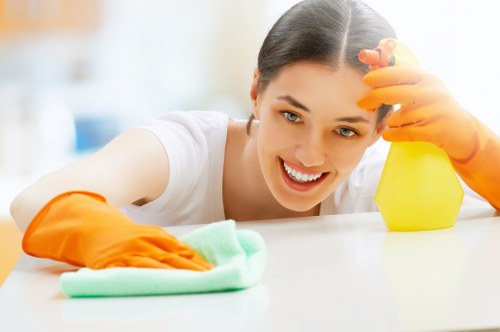 Hot water extraction cleaning in a Finsbury Park property