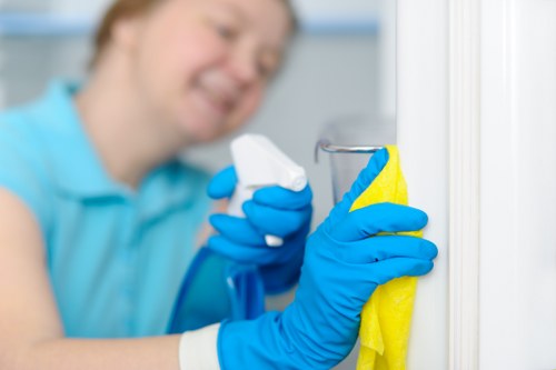 Preparing a Finsbury Park property for gutter cleaning and rainwater flow maintenance