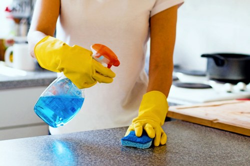Professional fabric stain treatment for a Finsburypark home