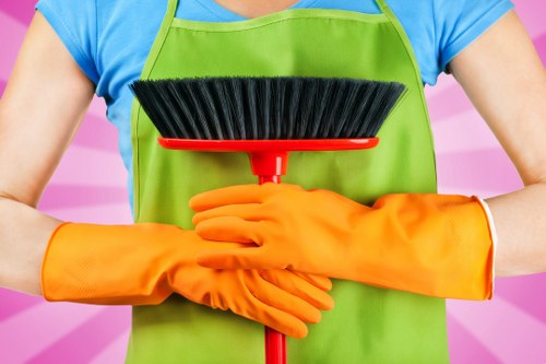Regular domestic cleaning for a family home in Finsbury Park