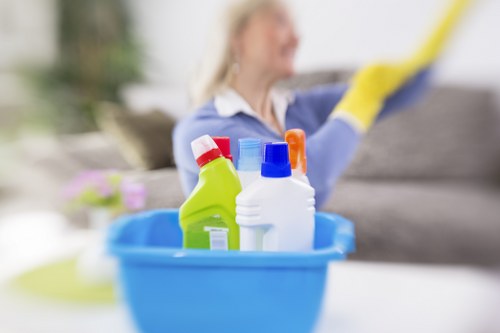 Local cleaner maintaining a flat in Finsbury Park
