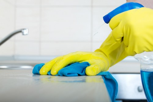 Professional sofa cleaning service in a Finsbury Park home