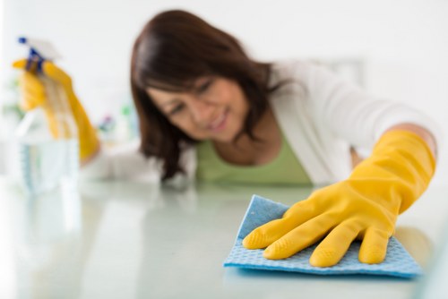 Rug cleaning process for residential and commercial customers in Finsbury Park