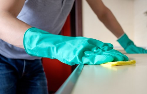 Professional window cleaning tools used for local property maintenance