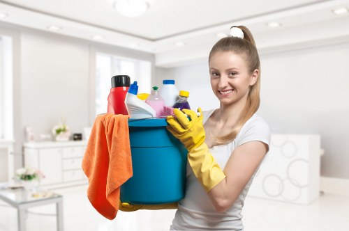 Deep mattress cleaning equipment and stain treatment